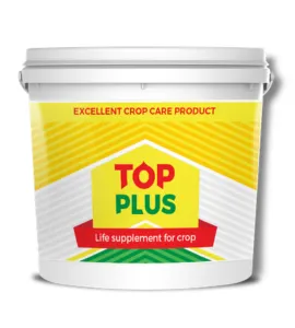 Top Plus